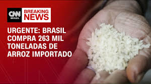 Conab compra 263,3 mil toneladas de arroz importado em leilão