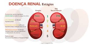 Insuficiência Renal! O QUE PRECISO SABER.