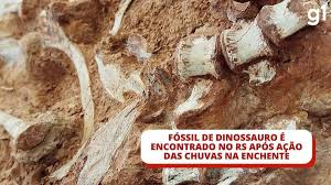 Fóssil de dinossauro é encontrado parcialmente exposto após ação das chuvas em enchente no RS