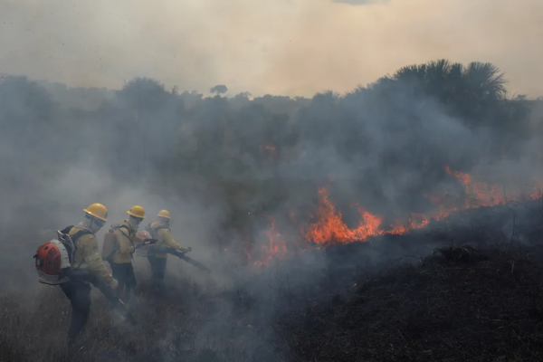 Em meio à seca, Amazonas registra mais de 100 focos de queimadas em um único dia, aponta Inpe