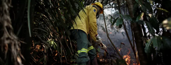 Com mais de 11 mil focos, mês de julho registra recorde de queimadas na Amazônia em duas décadas